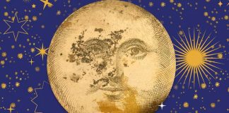 Chceš zažít Litoměřickou muzejní noc zevnitř? Staň se dobrovolníkem!