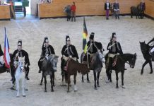 Terezínská jízdárna ožije ušlechtilými hřebci: Chystá se jubilejní 10. ročník oblíbené přehlídky