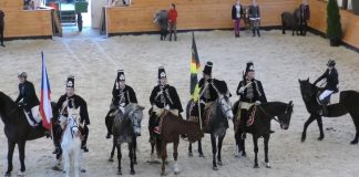 Terezínská jízdárna ožije ušlechtilými hřebci: Chystá se jubilejní 10. ročník oblíbené přehlídky