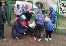 ŘEPNICE: Děti ze ZŠ T. G. Masaryka ve Štětí přivezly dárečky opuštěným psům a kočkám