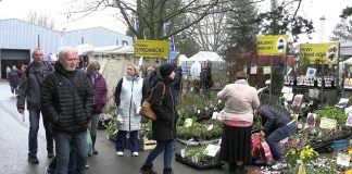 LITOMĚŘICE: Tržnice Zahrady Čech přilákala 23 tisíc návštěvníků