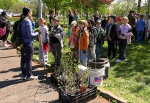 LOVOSICE: Děti ze ZŠ Všehrdova na Osmičce vysázely 44 keřů