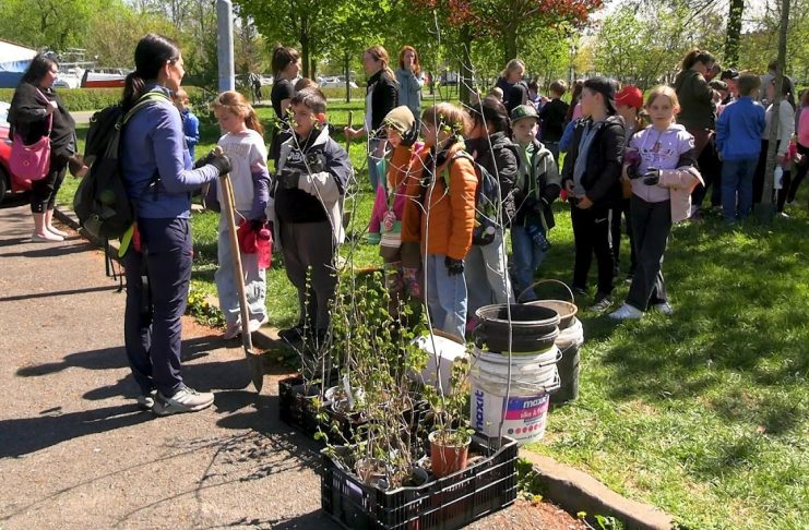 LOVOSICE: Děti ze ZŠ Všehrdova na Osmičce vysázely 44 keřů