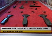 ROUDNICE N.L.: Podřipské muzeum slavnostně představilo unikátní bronzový nález