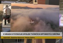 LITOMĚŘICE: V hradu vystavuje Spolek Tvůrčích Optimistů z Děčína
