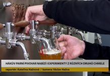 MLÉKOJEDY: Hákův parní pivovar nabízí i pivní experimenty z různých druhů chmele