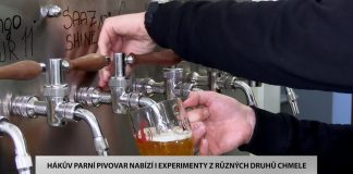 MLÉKOJEDY: Hákův parní pivovar nabízí i pivní experimenty z různých druhů chmele