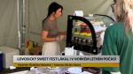 LOVOSICE: Festival Sweet Fest lákal i v horkém letním počasí LOVOSICE: Festival Sweet Fest lákal i v horkém letním počasí