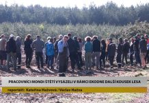 STRAČÍ: Pracovníci Mondi Štětí vysázeli v rámci EKODNE další kousek lesa