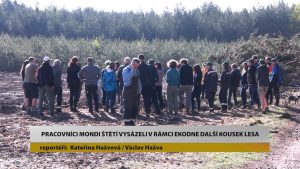 STRAČÍ: Pracovníci Mondi Štětí vysázeli v rámci EKODNE další kousek lesa STRAČÍ: Pracovníci Mondi Štětí vysázeli v rámci EKODNE další kousek lesa