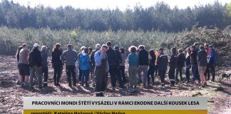 STRAČÍ: Pracovníci Mondi Štětí vysázeli v rámci EKODNE další kousek lesa