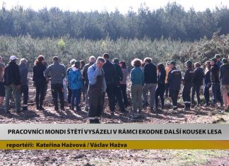 STRAČÍ: Pracovníci Mondi Štětí vysázeli v rámci EKODNE další kousek lesa