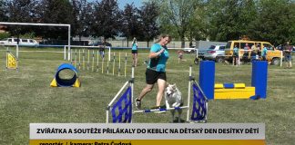 KEBLICE: Zvířátka a soutěže přilákaly do Keblic na dětský den desítky dětí