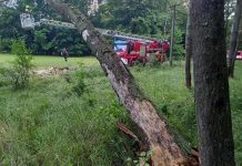 Bouřlivý víkend v Ústeckém kraji: Hasiči likvidovali desítky popadaných stromů, strhávaly i elektrické vedení