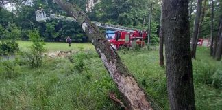 Bouřlivý víkend v Ústeckém kraji: Hasiči likvidovali desítky popadaných stromů, strhávaly i elektrické vedení
