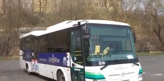 Na litoměřické koupaliště opět vyjede mimořádná autobusová linka. Začíná jezdit od 1. července
