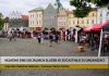 LITOMĚŘICE: Velkého dne sociálních služeb se zúčastnilo 35 organizací