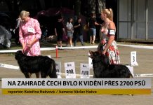 LITOMĚŘICE: Na Zahradě Čech bylo k vidění přes 2700 psů