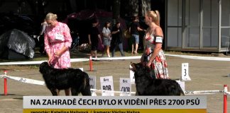 LITOMĚŘICE: Na Zahradě Čech bylo k vidění přes 2700 psů