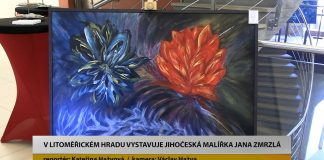 LITOMĚŘICE: V Hradu vystavuje jihočeská malířka Jana Zmrzlá