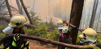 Ústecký kraj opět vyhlásil období zvýšeného nebezpečí vzniku požárů. Platí přísné zákazy