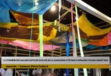 LITOMĚŘICE: V litoměřické Galerii Gotické dvojče byla zahájena výstava V krajinu tichou kráčí sen
