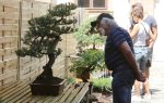 Státní zámek Libochovice opět zaplní papoušci a bonsaje Státní zámek Libochovice opět zaplní papoušci a bonsaje