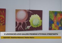 LOVOSICE: V LOVO Galerii probíhá výstava streetartu