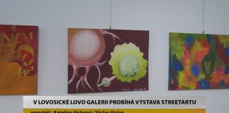 LOVOSICE: V LOVO Galerii probíhá výstava streetartu