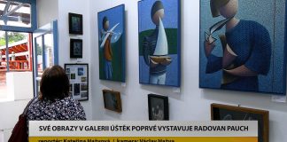 ÚŠTĚK: Své obrazy vytvořené z teček v Galerii poprvé vystavuje Radovan Pauch