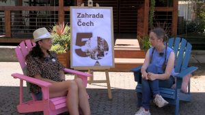 Jaká bude letošní Zahrada Čech? Máme pro vás rozhovor s ředitelkou MKZ Litoměřice Michaelou Mokrou Jaká bude letošní Zahrada Čech? Máme pro vás rozhovor s ředitelkou MKZ Litoměřice Michaelou Mokrou