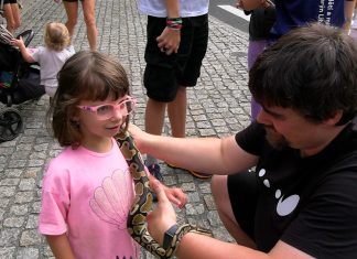 LITOMĚŘICE: DDM Rozmarýn představil své aktivity a kroužky v Jiráskových sadech