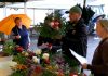 LITOMĚŘICE: V rámci Zahrady Čech proběhla i floristická soutěž pro širokou veřejnost