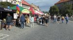 ROUDNICE N. L.: Vinobraní opět zdarma a s přehlídkou veteránů ROUDNICE N. L.: Vinobraní opět zdarma a s přehlídkou veteránů