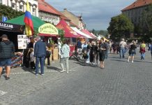 ROUDNICE N. L.: Vinobraní opět zdarma a s přehlídkou veteránů