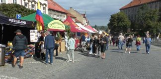 ROUDNICE N. L.: Vinobraní opět zdarma a s přehlídkou veteránů