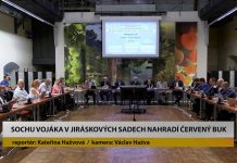LITOMĚŘICE: Sochu vojáka v Jiráskových sadech nahradí červený buk