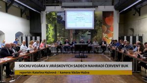 LITOMĚŘICE: Sochu vojáka v Jiráskových sadech nahradí červený buk LITOMĚŘICE: Sochu vojáka v Jiráskových sadech nahradí červený buk