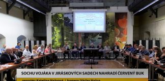 LITOMĚŘICE: Sochu vojáka v Jiráskových sadech nahradí červený buk