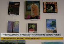 LITOMĚŘICE: V Bistru Jeřabina je prodejní výstava klientů Domova Terezín