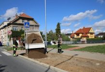 V Roudnici pokračuje obnova zeleně: Nemocné javory nahradí babyky, vzniknou i nové záhony