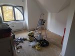 Litoměřický Klokánek bojoval se štěnicemi, teď se znovu staví na nohy! Litoměřický Klokánek bojoval se štěnicemi, teď se znovu staví na nohy!