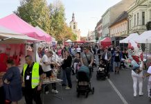 LOVOSICE: Václavská pouť letos s krásným počasím a s novou scénou