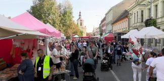 LOVOSICE: Václavská pouť letos s krásným počasím a s novou scénou