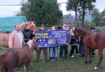 MUKAŘOV: Z letošního výtěžku podpořil Útulek fest i týrané a nechtěné koně